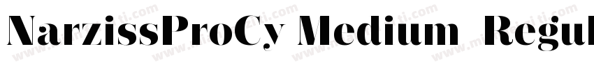 NarzissProCy Medium  Regular字体转换